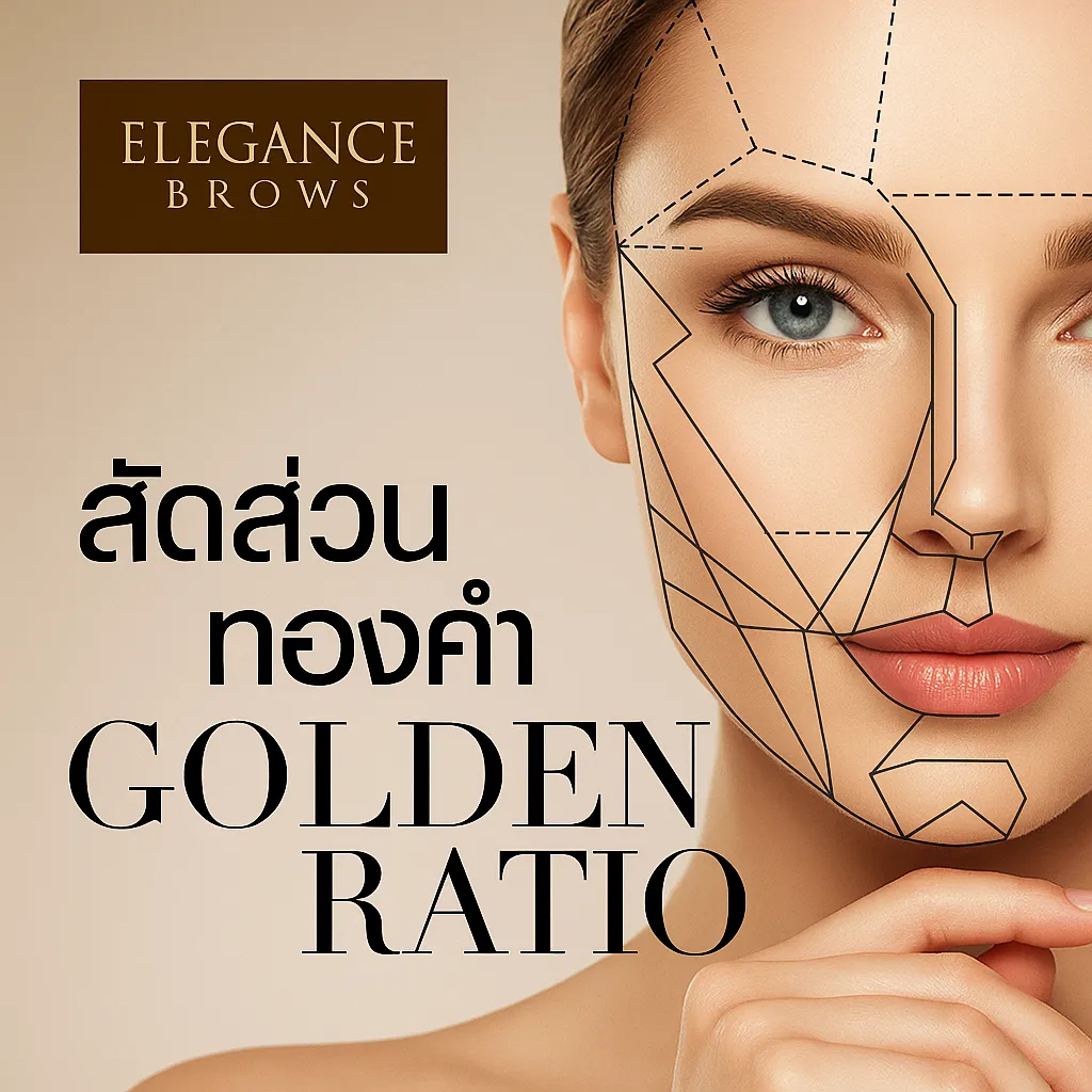 Golden Ratio กับ คิ้ว เคล็ดลับคิ้วสวยที่รับกับใบหน้าอย่างลงตัว